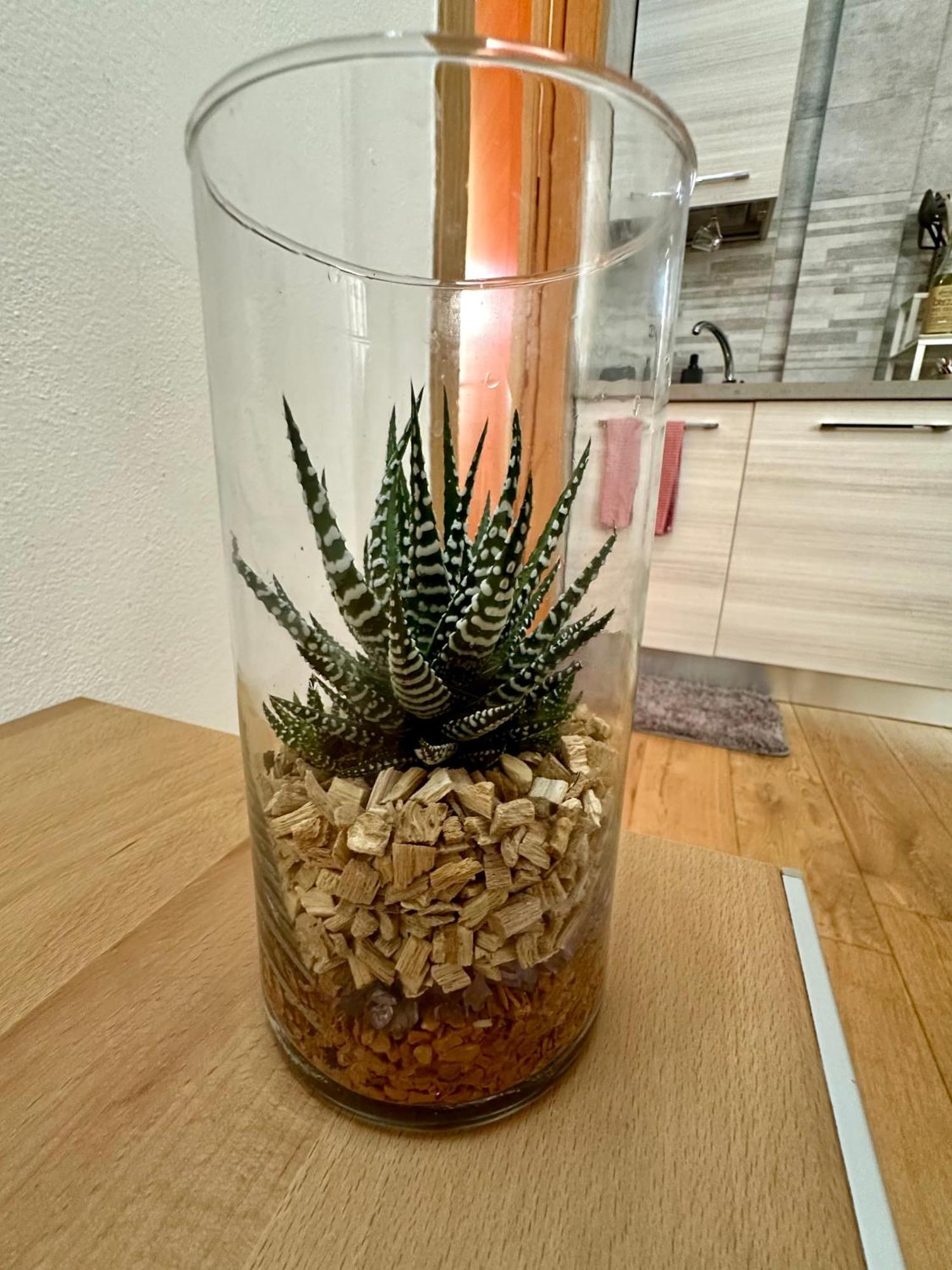 Casalory Rent Apartment フィレンツェ エクステリア 写真